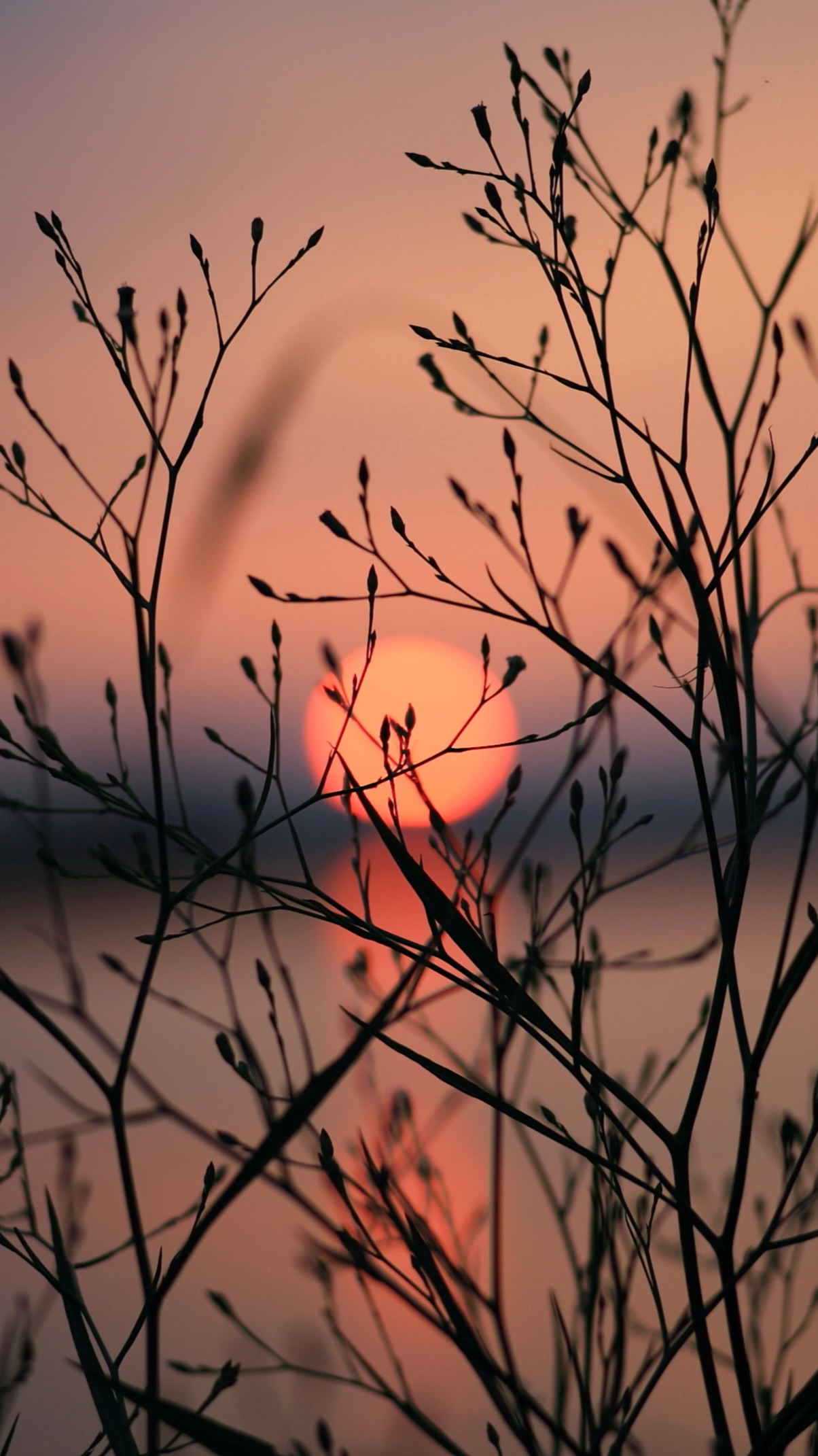 Iphone depth effect wallpaper